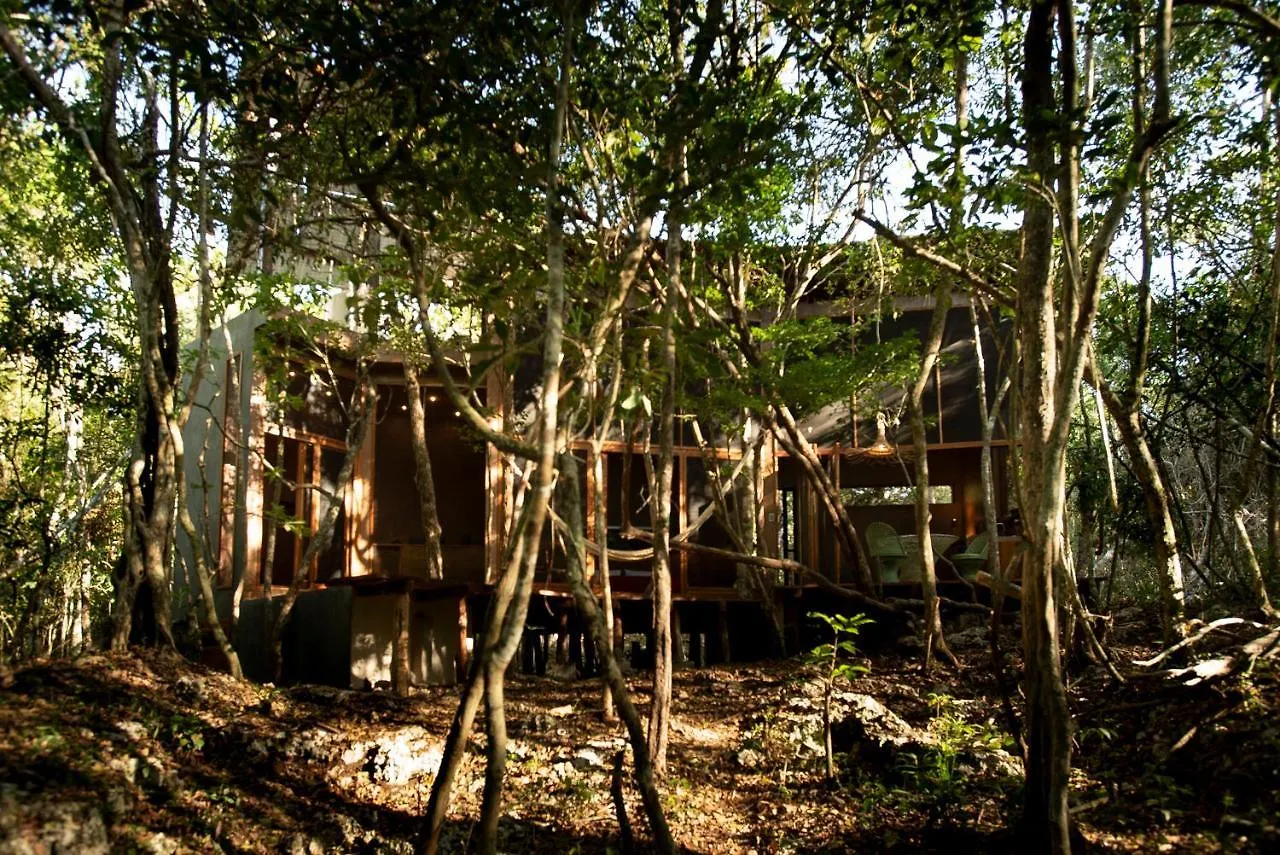 Ojo De Arbol, Boutique Cabin In The Real Jungle Tulum Mexico