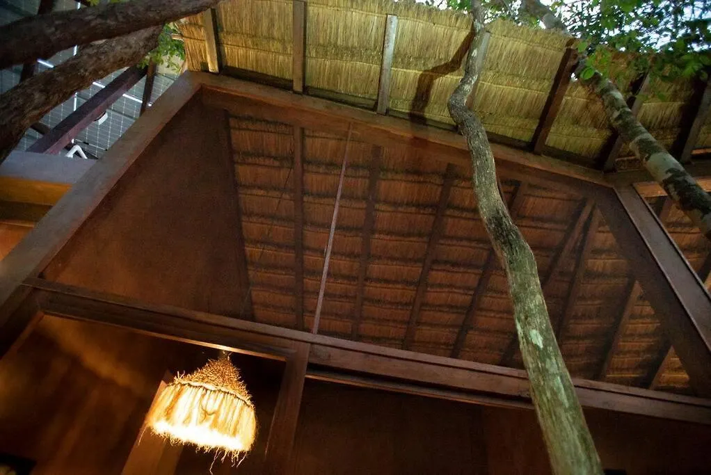 Villa Ojo De Arbol, Boutique Cabin In The Real Jungle Tulum Mexico