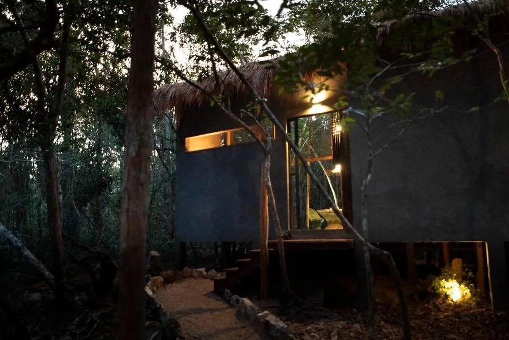 Ojo De Arbol, Boutique Cabin In The Real Jungle Tulum Mexico