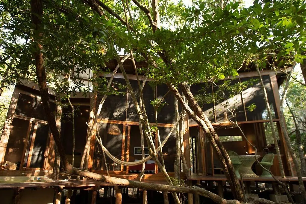 Villa Ojo De Arbol, Boutique Cabin In The Real Jungle Tulum Mexico