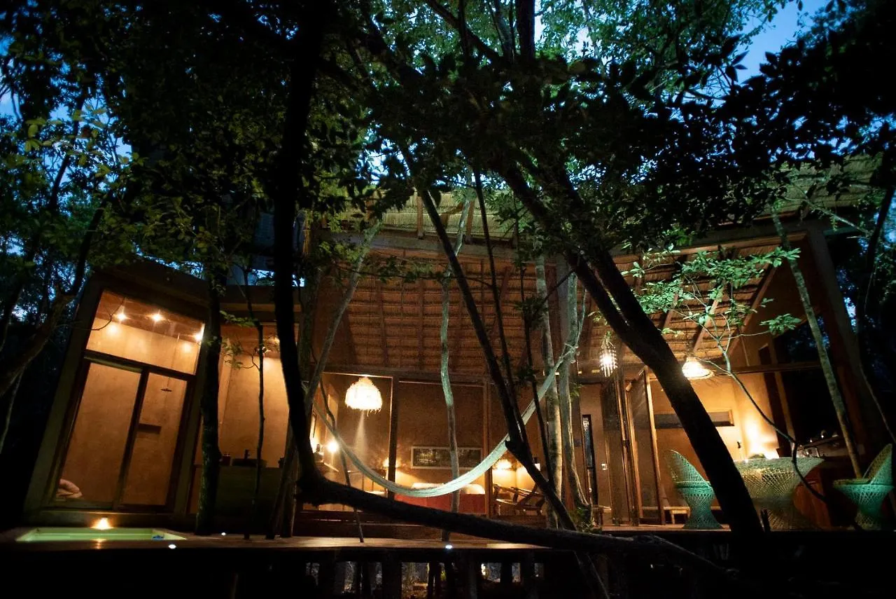 Ojo De Arbol, Boutique Cabin In The Real Jungle contacts