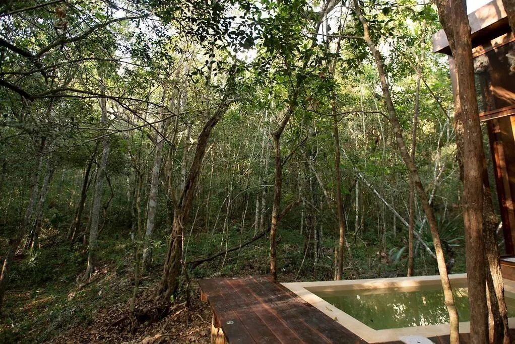 Ojo De Arbol, Boutique Cabin In The Real Jungle Tulum Mexico