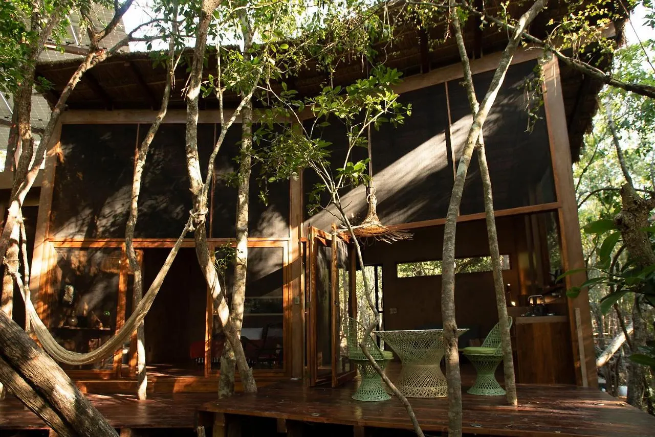 Ojo De Arbol, Boutique Cabin In The Real Jungle Tulum