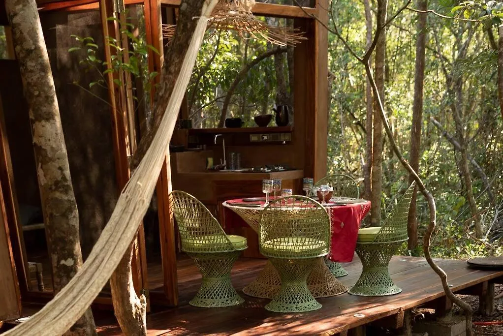 Ojo De Arbol, Boutique Cabin In The Real Jungle Tulum 0*,