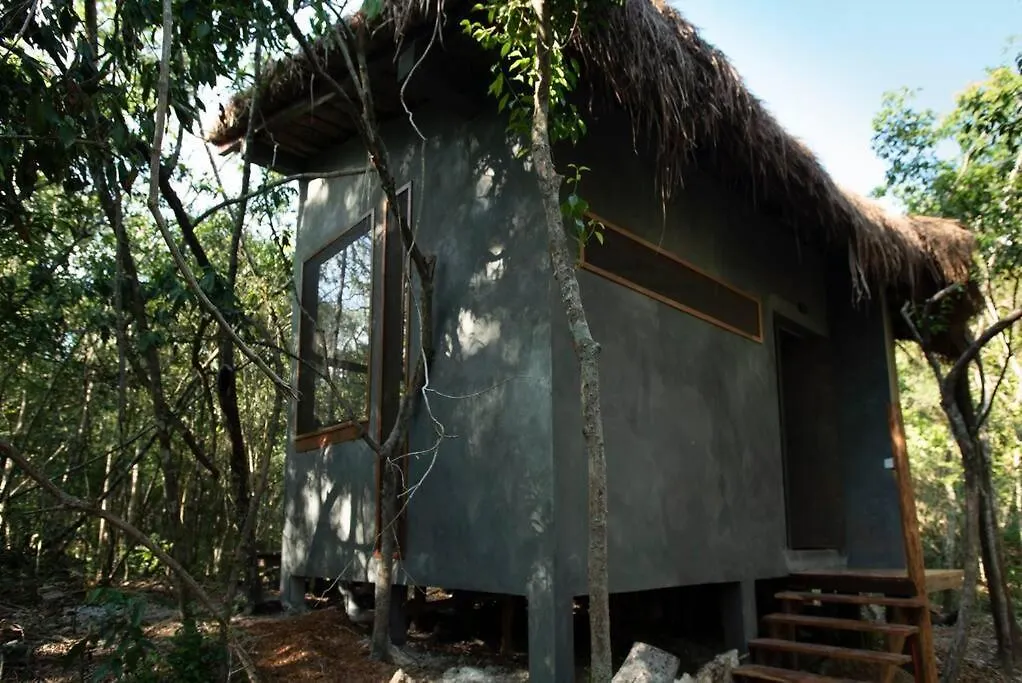Ojo De Arbol, Boutique Cabin In The Real Jungle Tulum Villa